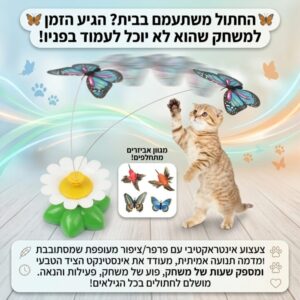 משחק תופסת פרפר/ציפור מעופף לחתול