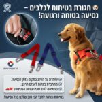 חגורת בטיחות לכלבים ברכב