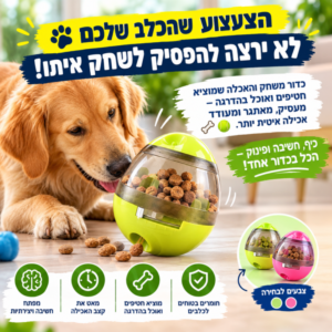 להיט לכלבים! כדור משחק , פיתוח החשיבה והאכלה לכלב