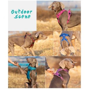 Truelove Front Nylon Dog Harness No Pull Vest Soft Adjustable Safety Harness For Dog Small Large 3