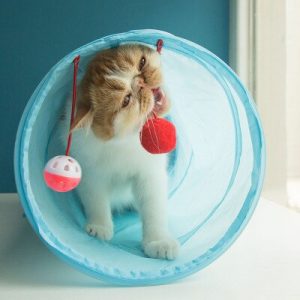 Cat Tunnel Toy Funny Pet 2 Holes Play Tubes Balls Collapsible Crinkle Kitten Toys Puppy Ferrets 2