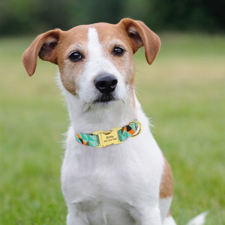 Fashion Custom Dog Collar Nylon Print Personalized Pet Collar Puppy Dog ID Collars Free Engraved ID 3