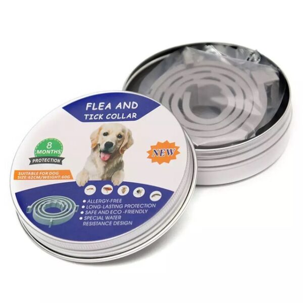 Flea And Tick Collar For Dogs Cats Up To 8 Month Flea Tick Dog Collar