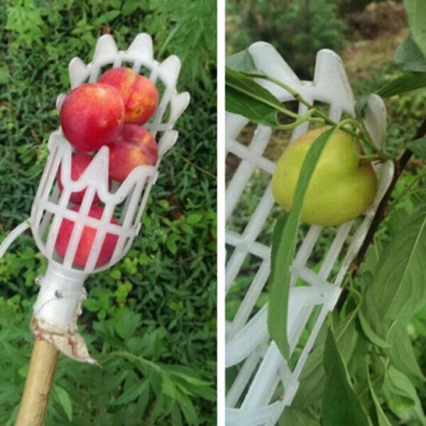 Garden Basket Fruit Picker Head Multi Color Plastic Fruit Picking Tool Catcher Agricultural Bayberry Jujube Picking 4