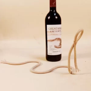 Creative Suspended Rope Wine Rack Serpentine Snak 1