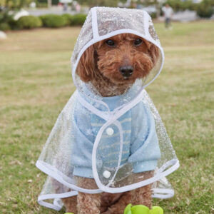 מעיל גשם PVC שקוף לכלבים