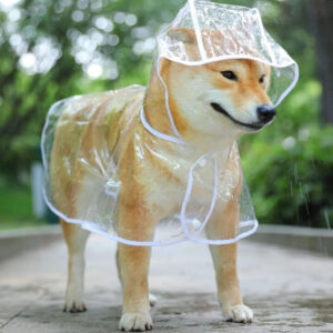מעיל גשם PVC שקוף לכלבים